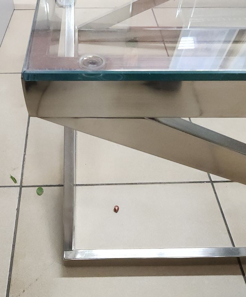 Vintage Signature Design Modern Brushed Nickel & Glass 36" Square Coffee Table by Ashley® - 5