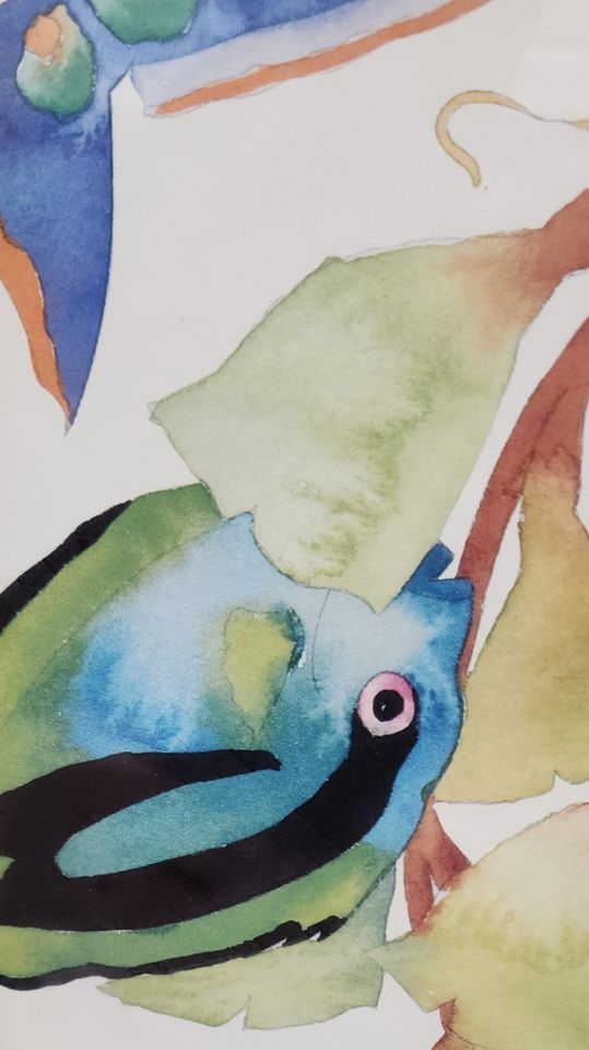 2 of 2 vintage prints of Tracy Taylor watercolor featuring collage of brilliantly colored fish. - 6
