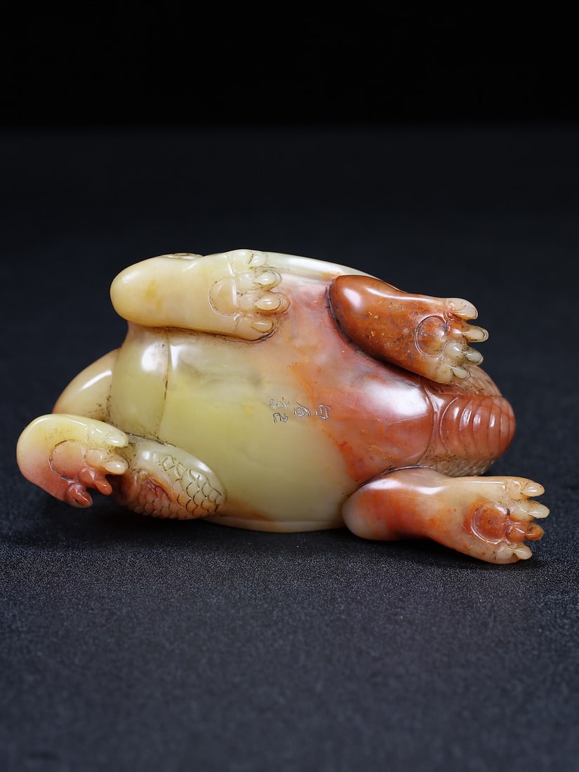 Hand Carved Chinese Shoushan Stone Dragon Turtle Statue w Box - 9