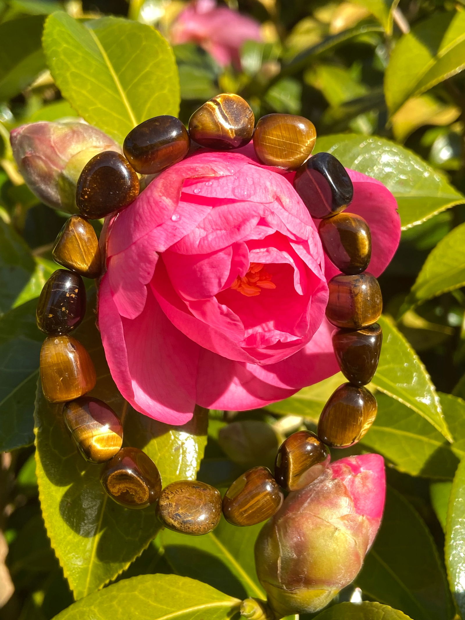 Vintage Natural Tiger’s Eye Beaded Bracelet - 3
