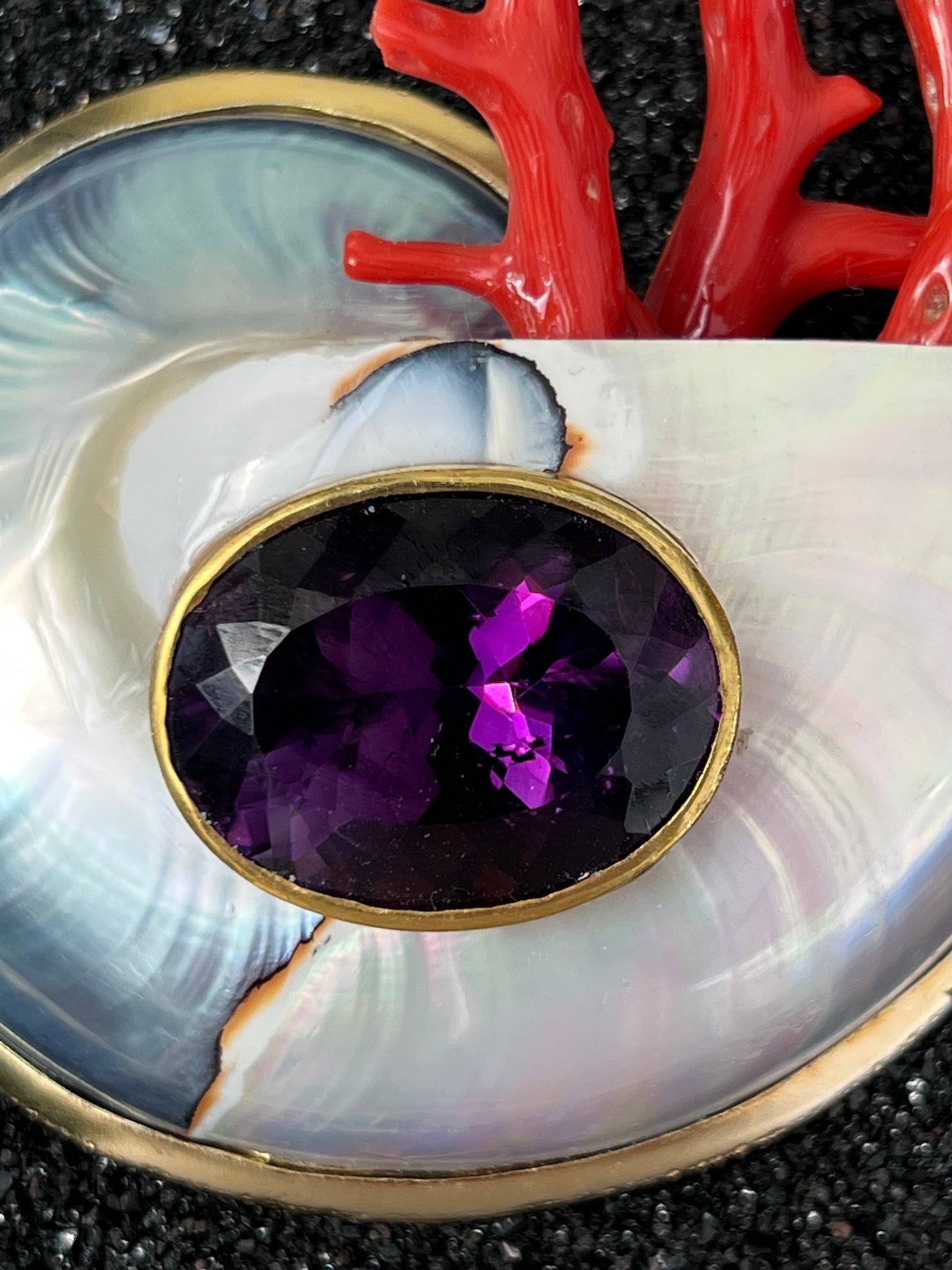 Nautilus and Italian Red Coral Brooch - 2