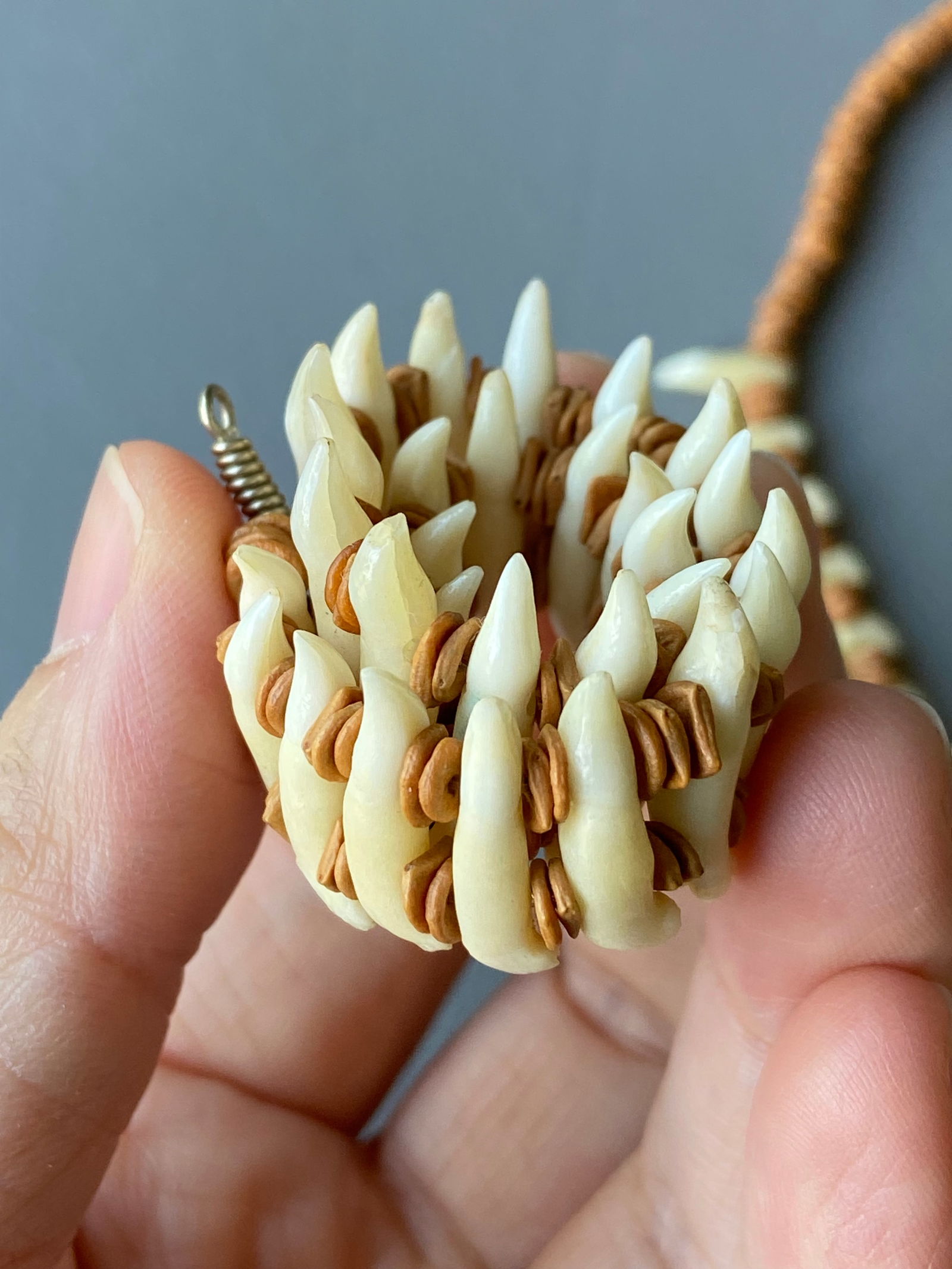 Vintage Tribal Necklace & Bracelet Set with Natural Animal Teeth - 10