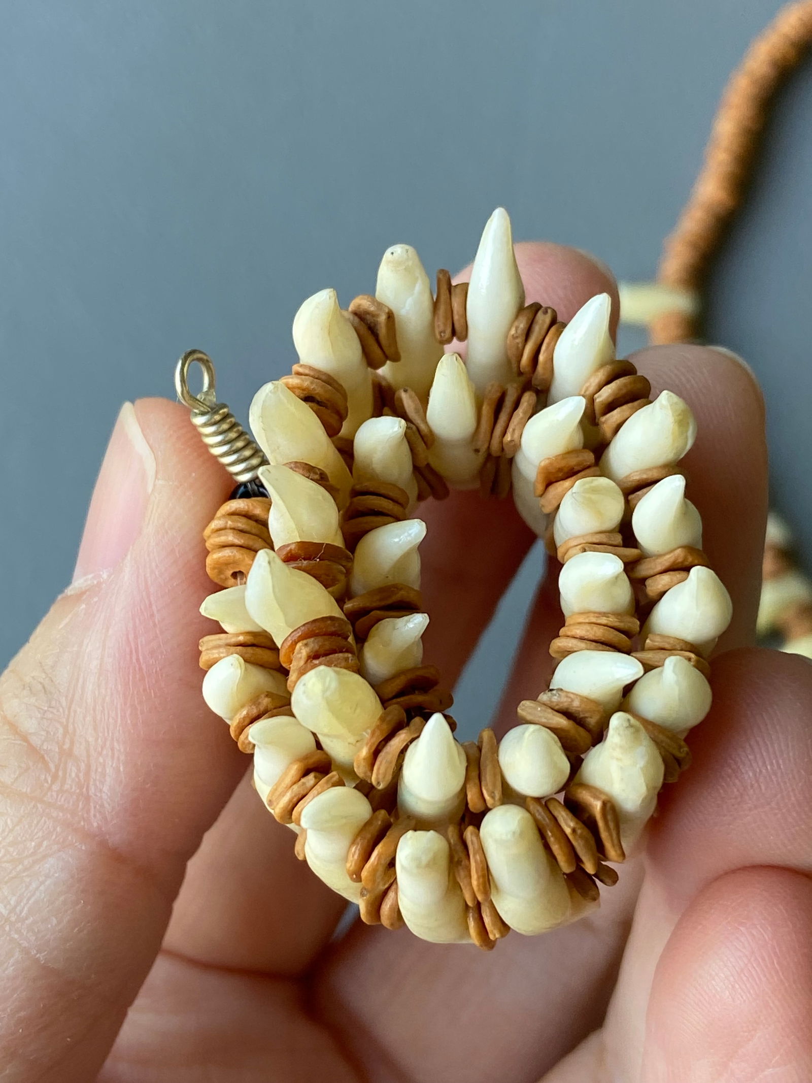 Vintage Tribal Necklace & Bracelet Set with Natural Animal Teeth - 11