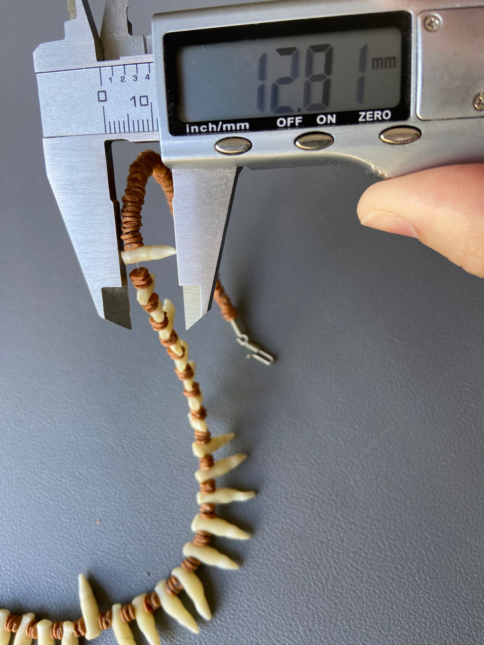 Vintage Tribal Necklace & Bracelet Set with Natural Animal Teeth - 17