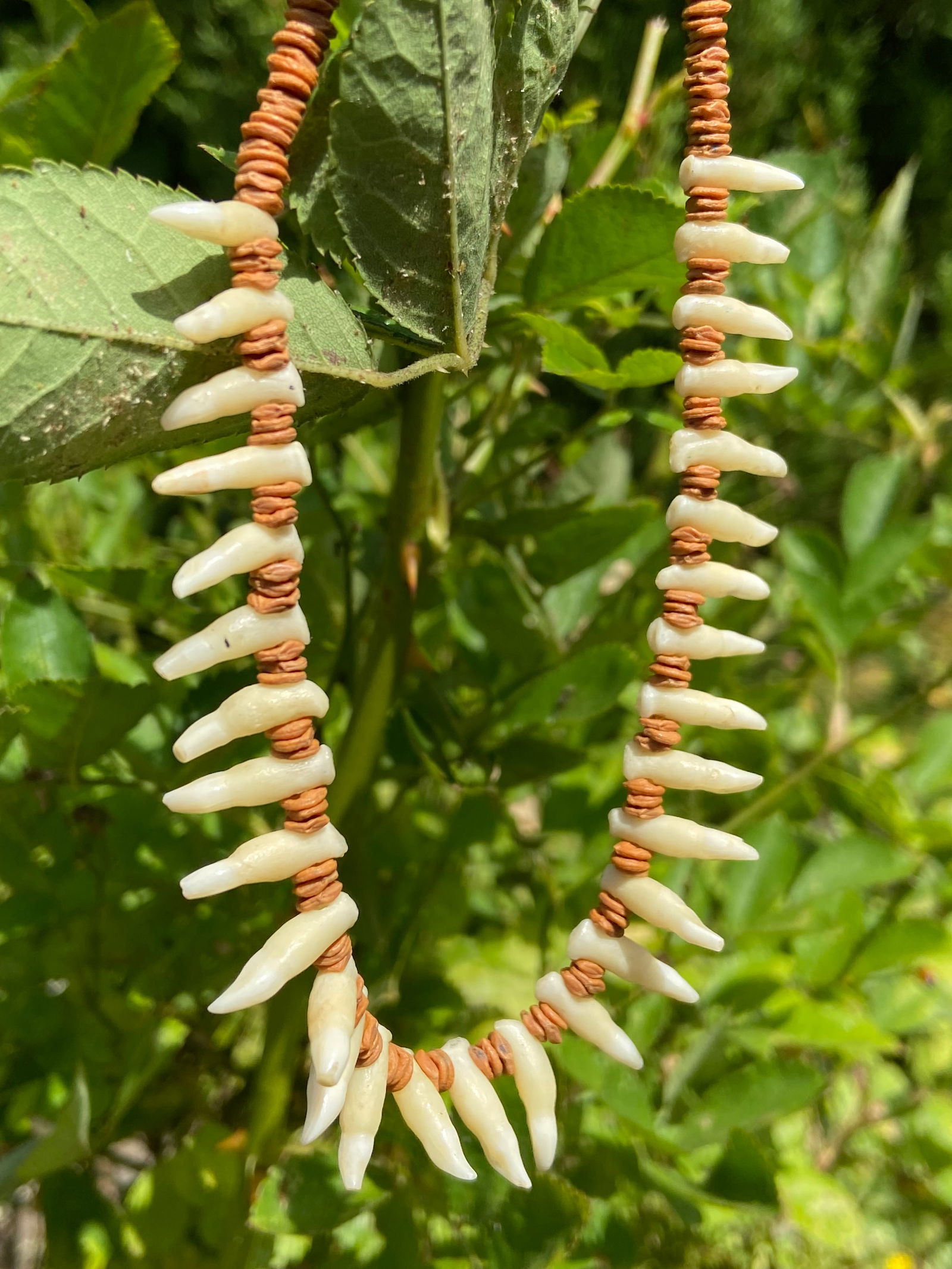 Vintage Tribal Necklace & Bracelet Set with Natural Animal Teeth - 7