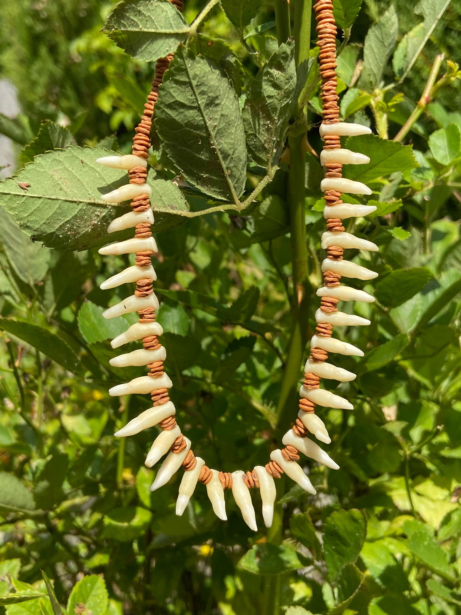 Vintage Tribal Necklace & Bracelet Set with Natural Animal Teeth - 8