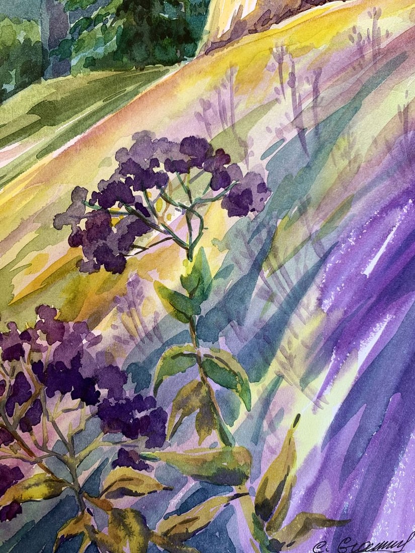 Watercolor painting Carpathian meadows Svetlana Gramm - 10