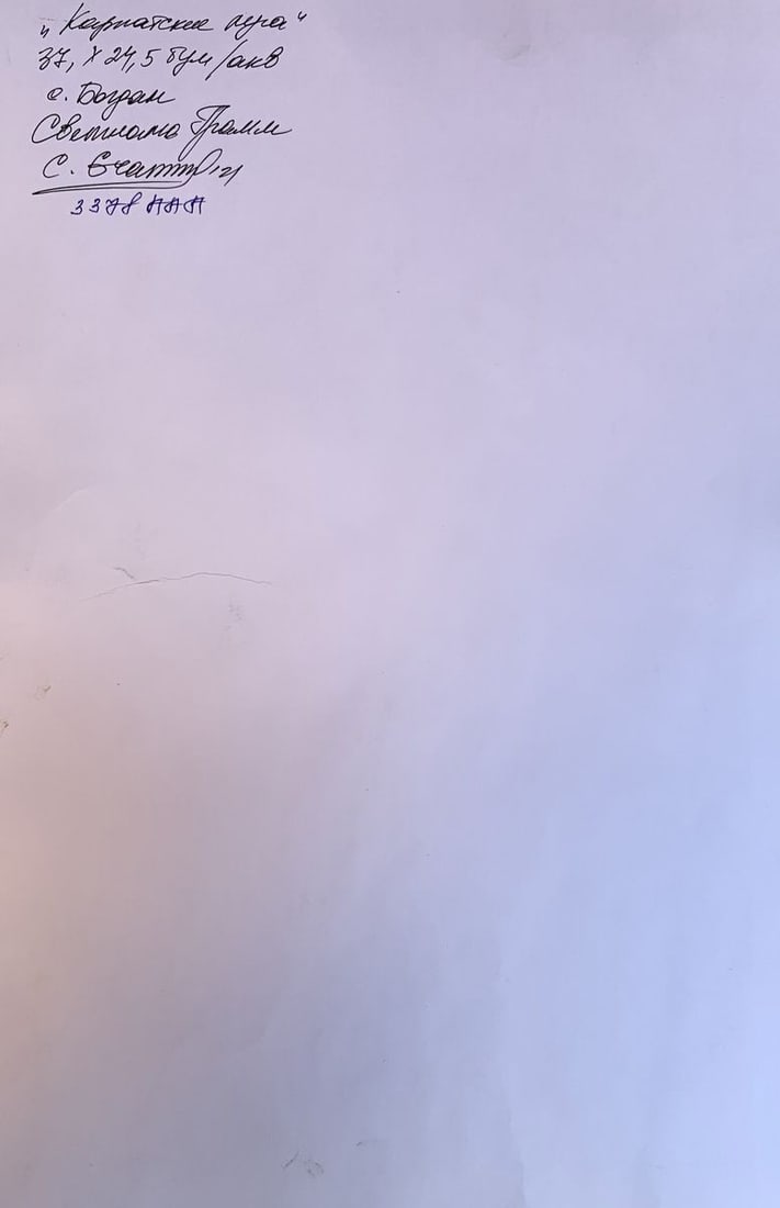 Watercolor painting Carpathian meadows Svetlana Gramm - 12