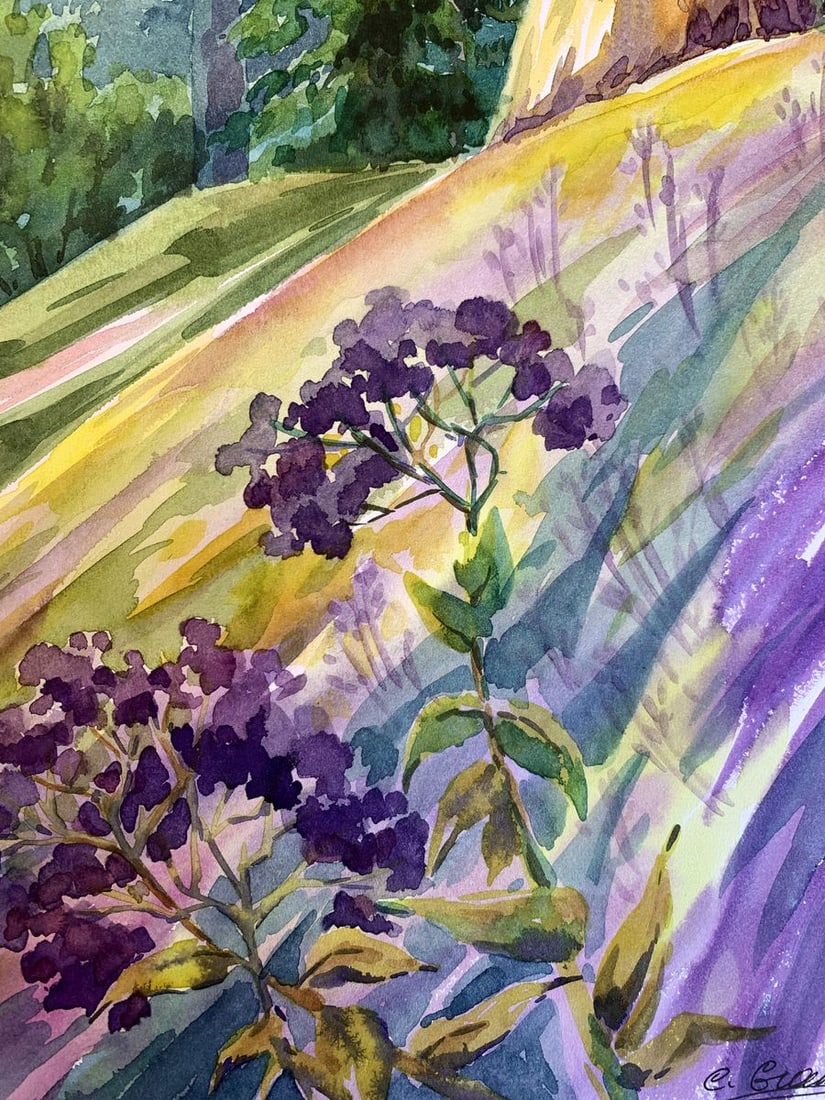 Watercolor painting Carpathian meadows Svetlana Gramm - 8