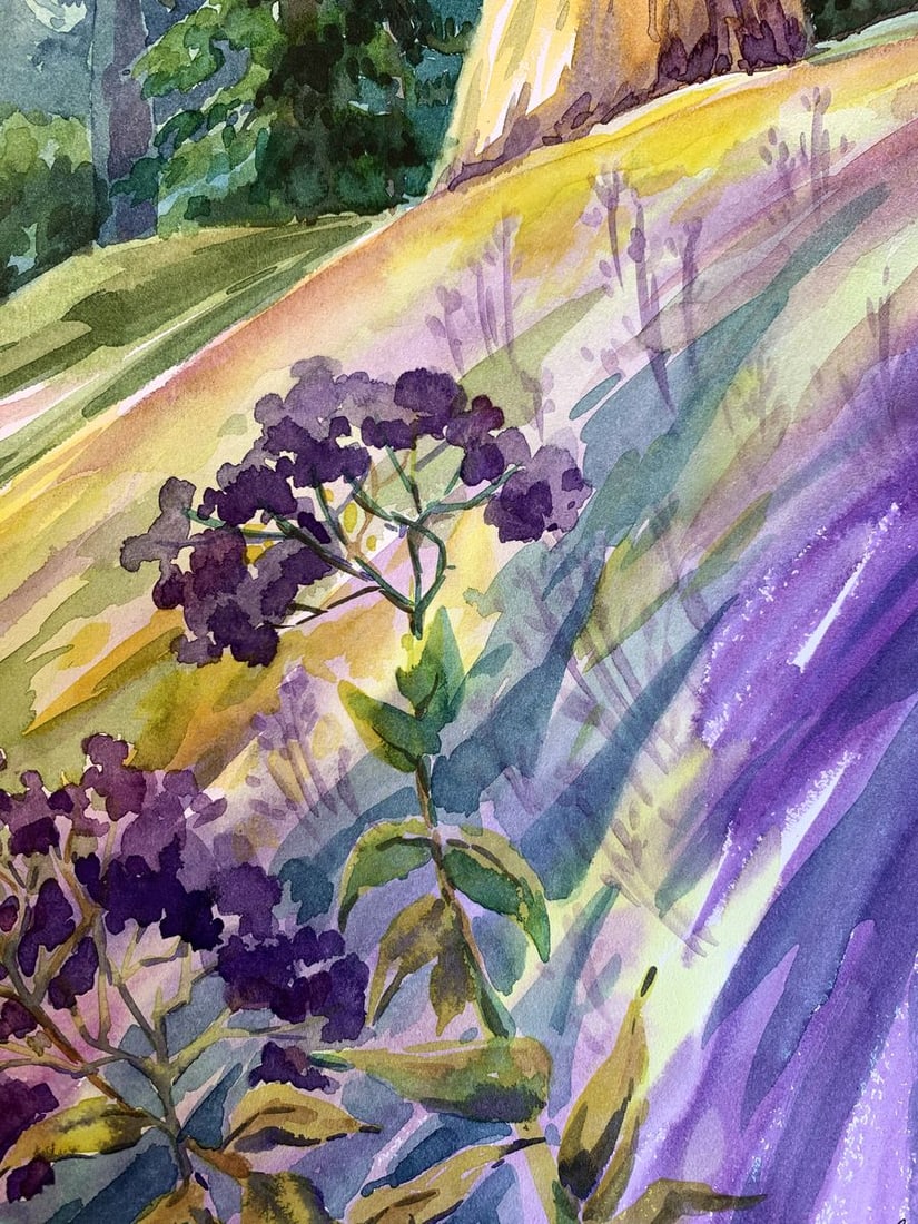 Watercolor painting Carpathian meadows Svetlana Gramm - 9