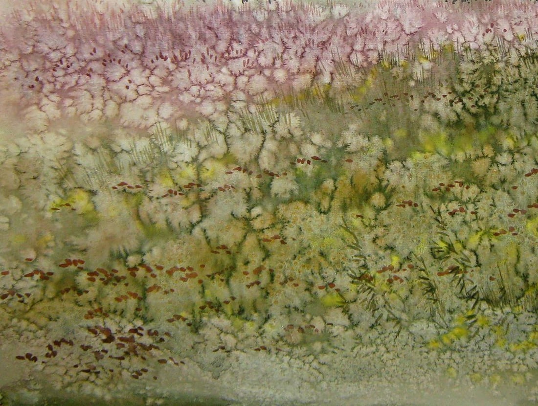Watercolor painting The grass is blooming Kalebets Valery - 4