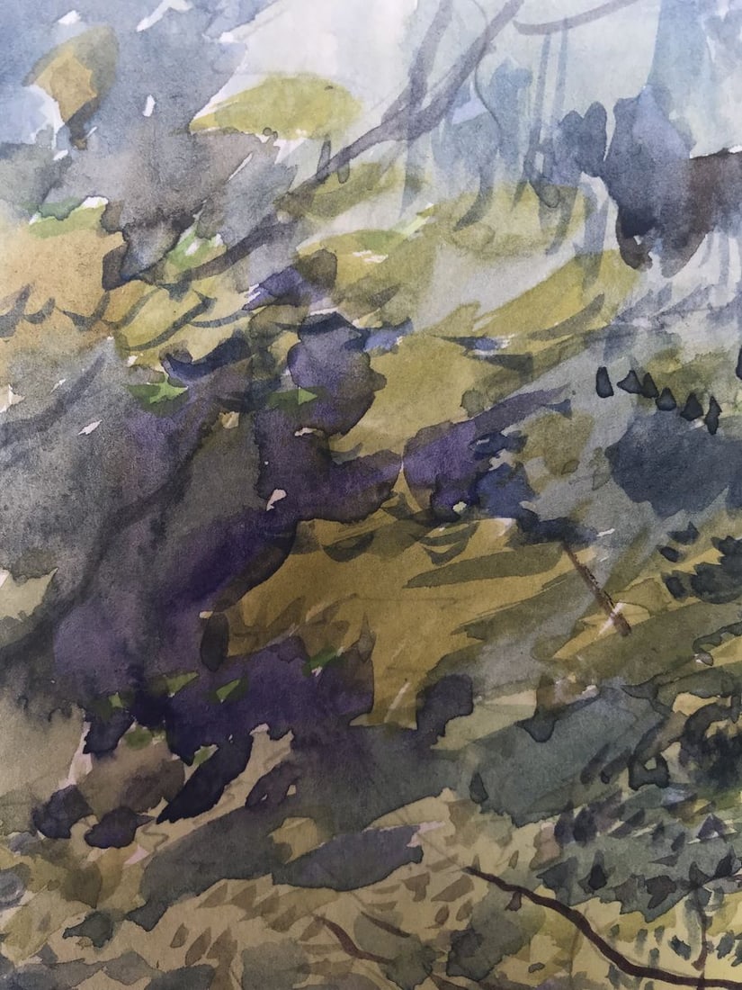 Watercolor painting In forests Wihyrovskii Victor - 4