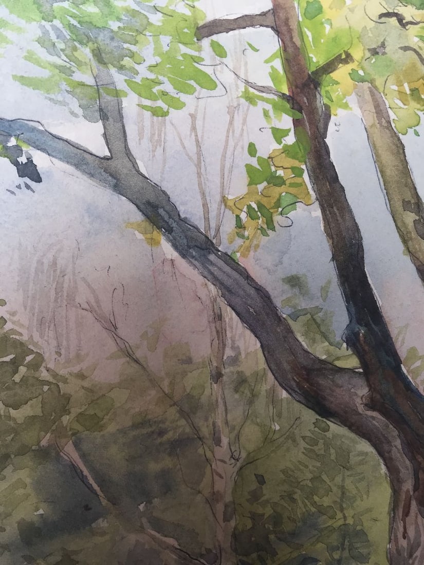 Watercolor painting Lonely tree Wihyrovskii Victor - 4