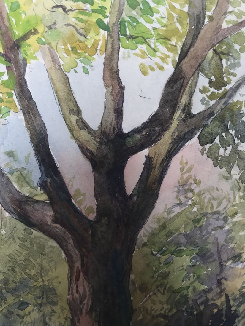 Watercolor painting Lonely tree Wihyrovskii Victor - 5