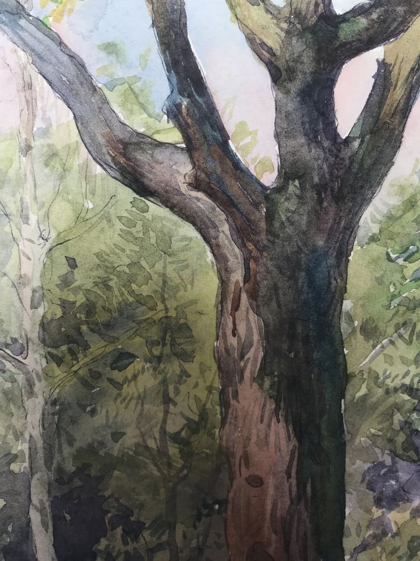 Watercolor painting Lonely tree Wihyrovskii Victor - 7