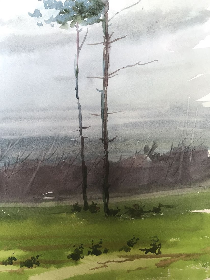 Watercolor painting After the rain Unknown artist - 10