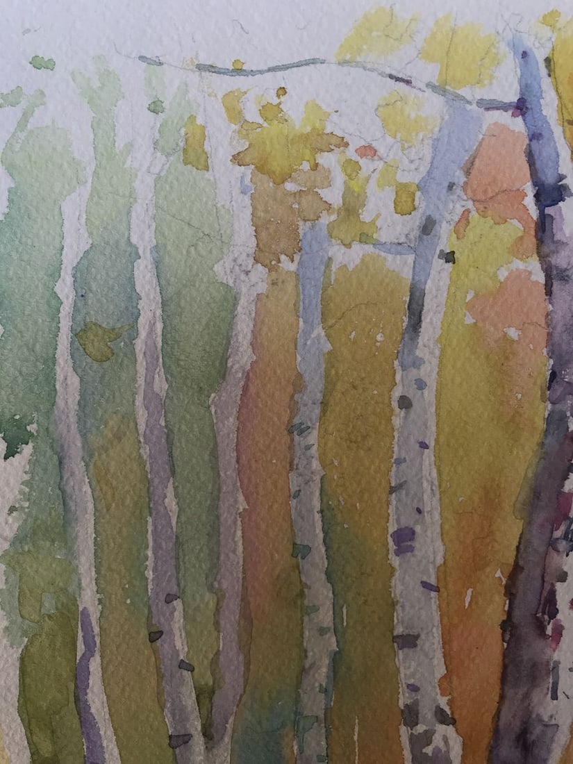 Watercolor painting Birch forest Unknown artist - 4