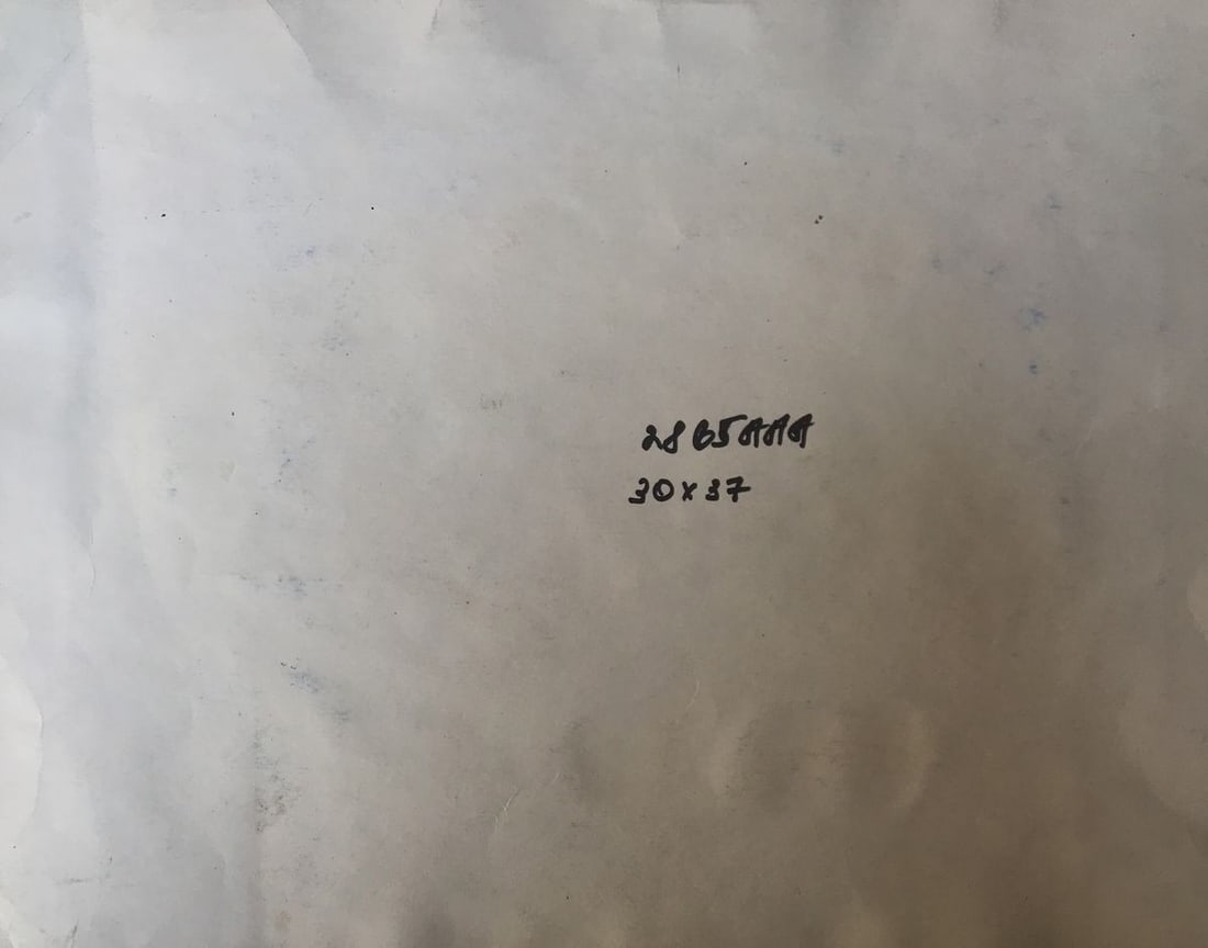 Watercolor painting Undersea world Alexander Arkadievich Litvinov - 12