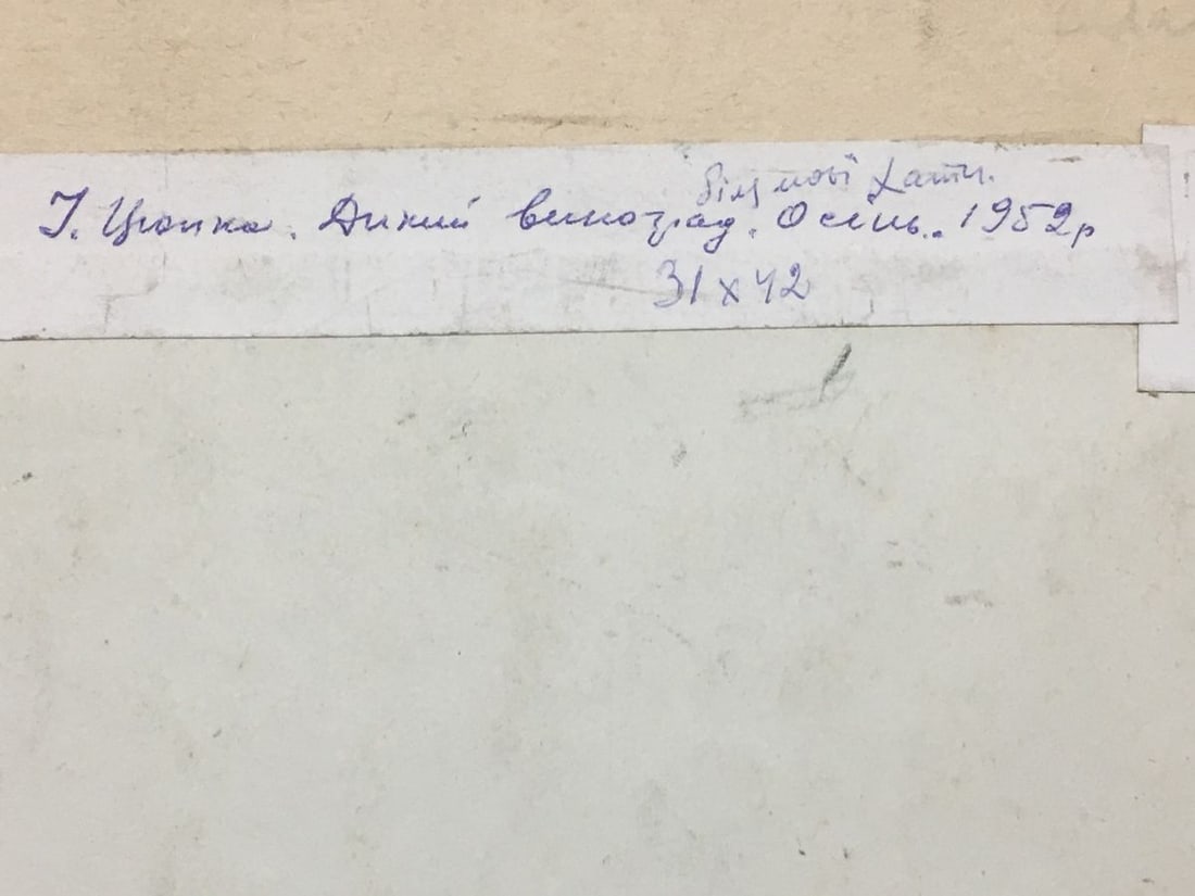 Watercolor painting Grapes near my house Ivan Kirillovich Tsyupka - 9