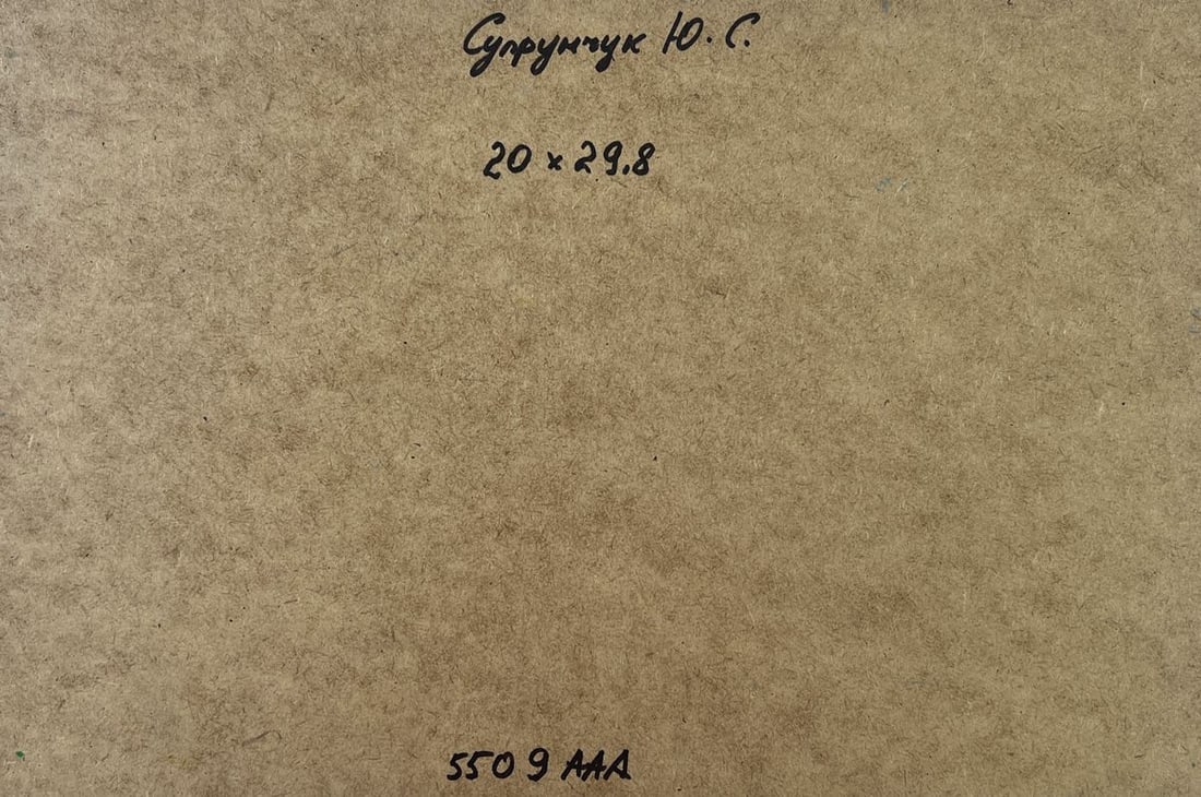 Oil painting River flows through rocky cliffs Yuriy Suprunchuk - 10