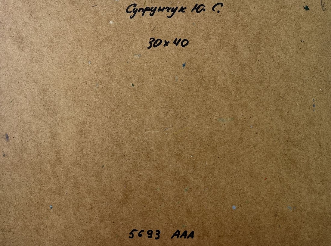 Oil painting Life by the village river Yuriy Suprunchuk - 10