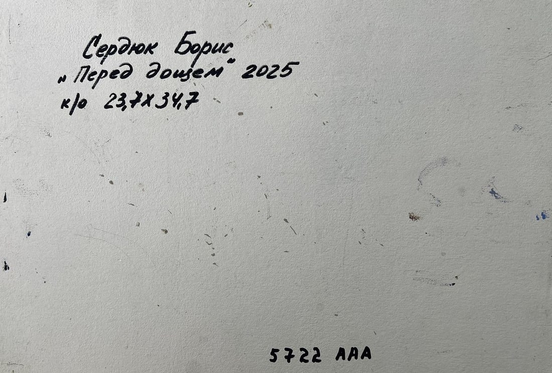 Oil painting A river near a field Boris Serdyuk - 10