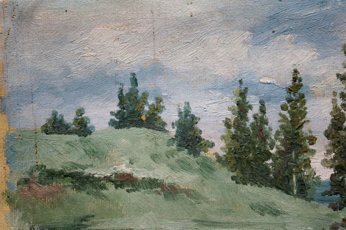 Oil painting After the rain D. Sitomir - 3