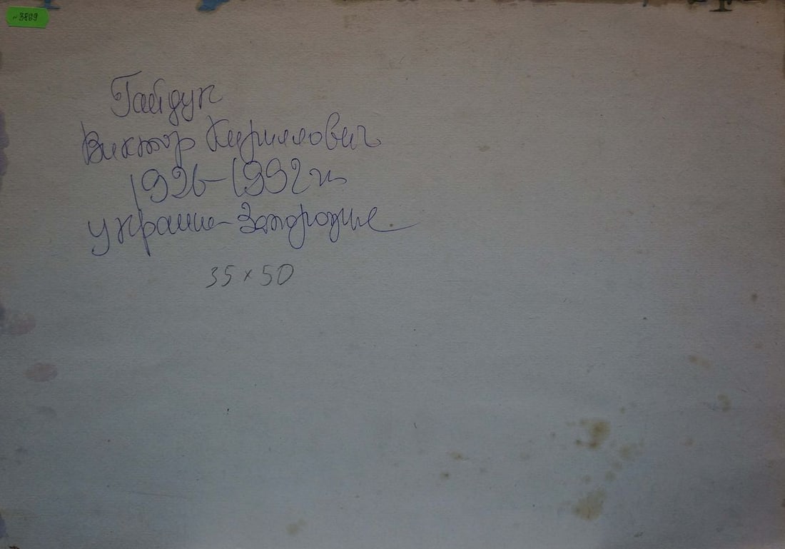 Oil painting Landscape Gaiduk Viktor Kirillovich - 7