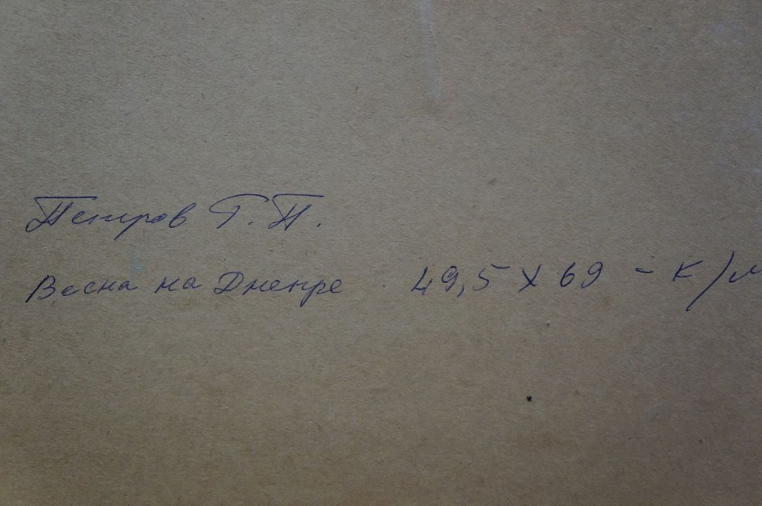 Oil painting Spring on the Dnieper Petrov Georgy Petrovich - 8