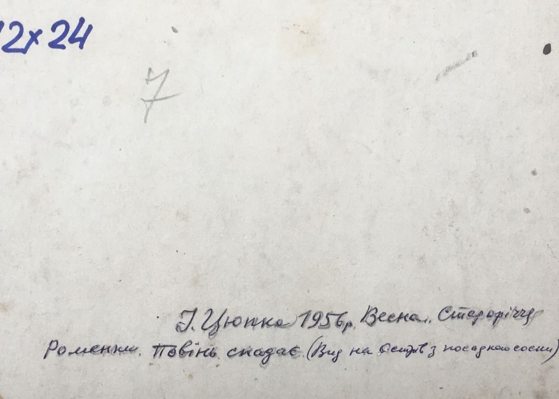 Oil painting Autumn Ivan Kirillovich Tsyupka - 9