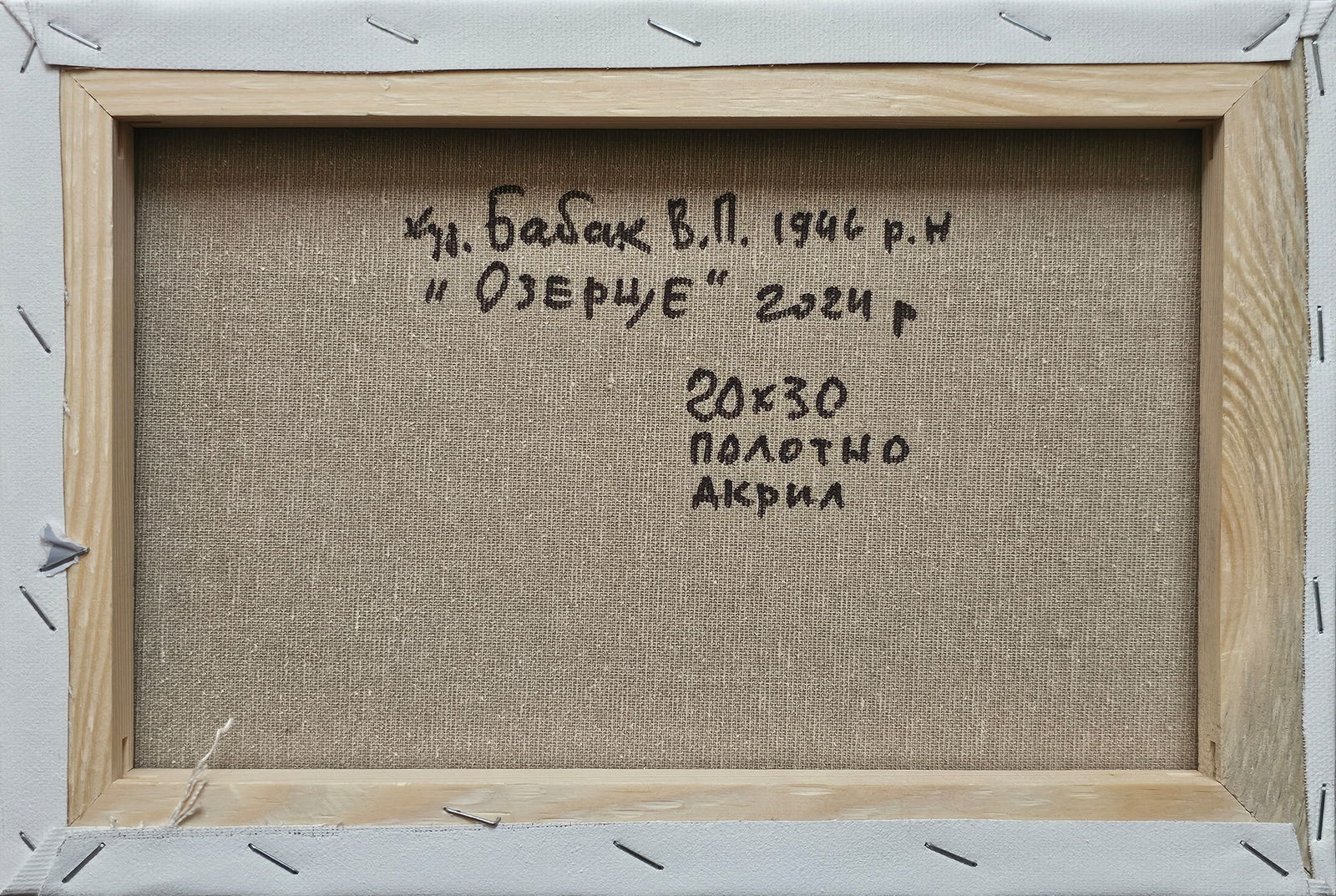 Acrylic painting lake Vyacheslav Petrovich Babac - 2