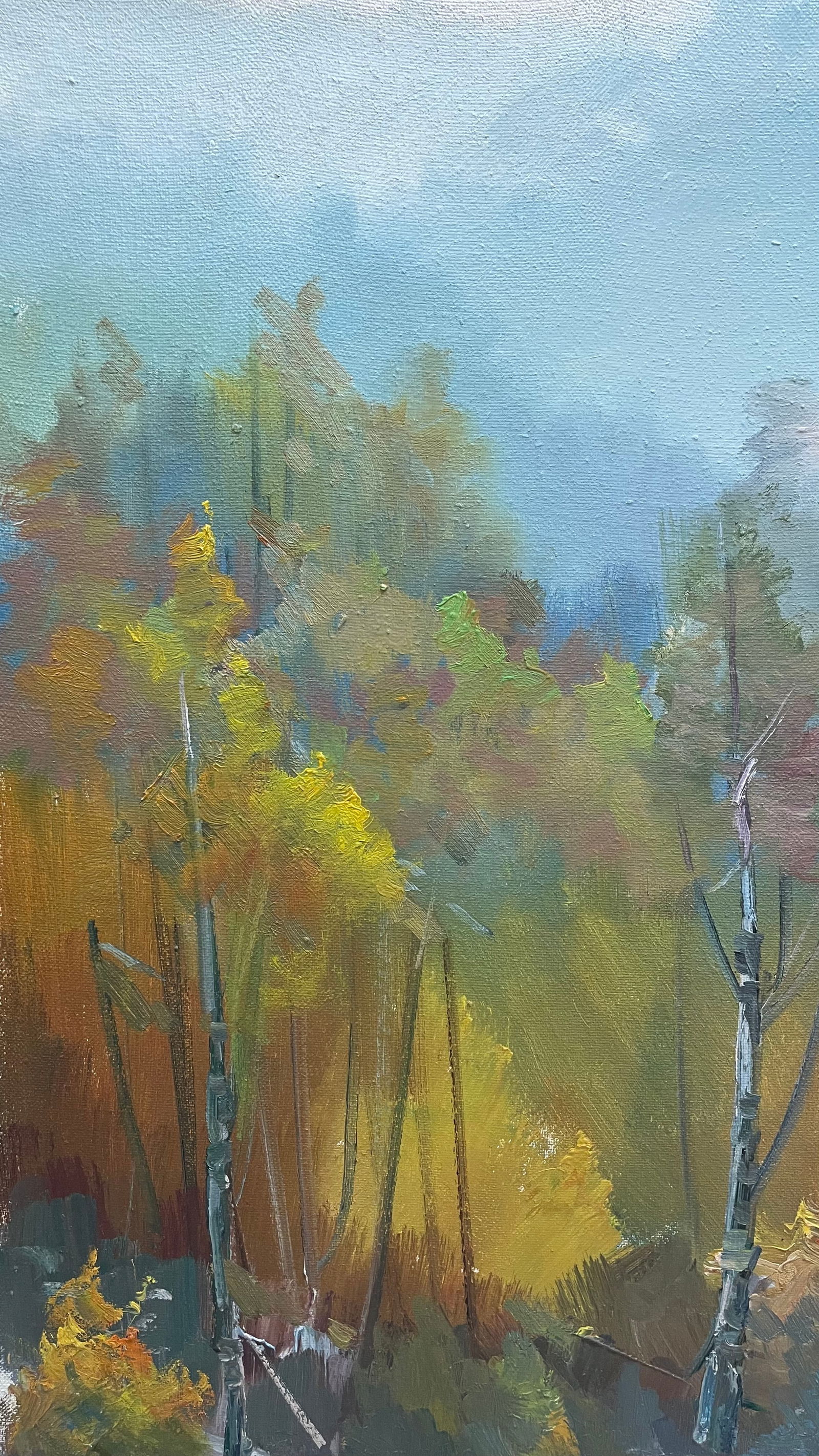 Oil painting Orange trees Ivan Romanyuk - 2