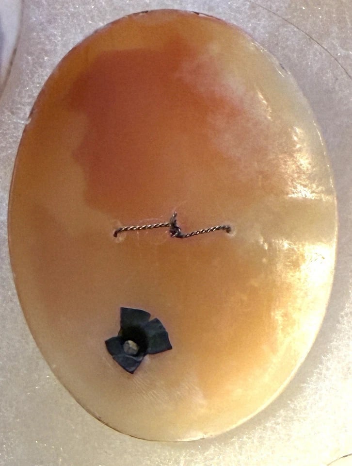 Huge Lot of Antique and Vintage Unmounted Shell Cameos – Please Refer to Photos - 7