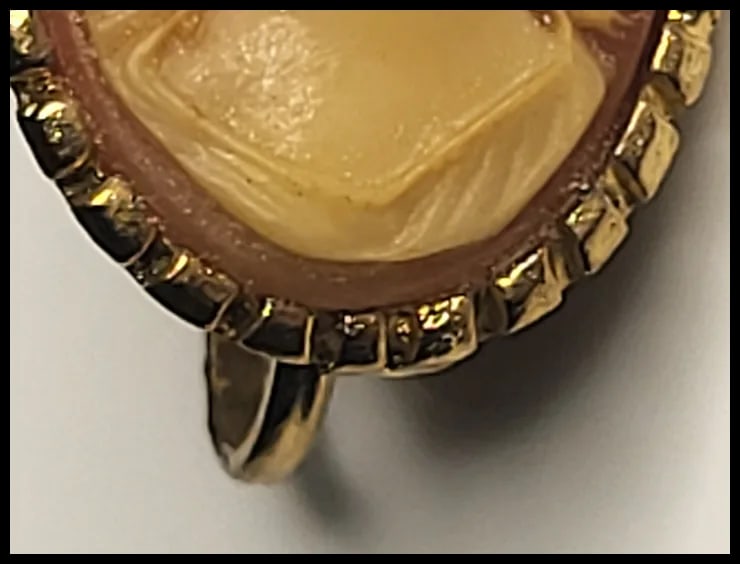Vintage Resin Cameo Clip-On Earrings - 4
