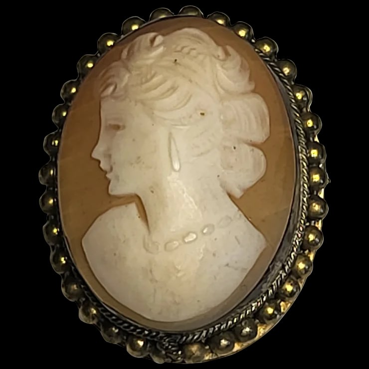 Vintage Cameo Pin/Brooch (1 of 7)