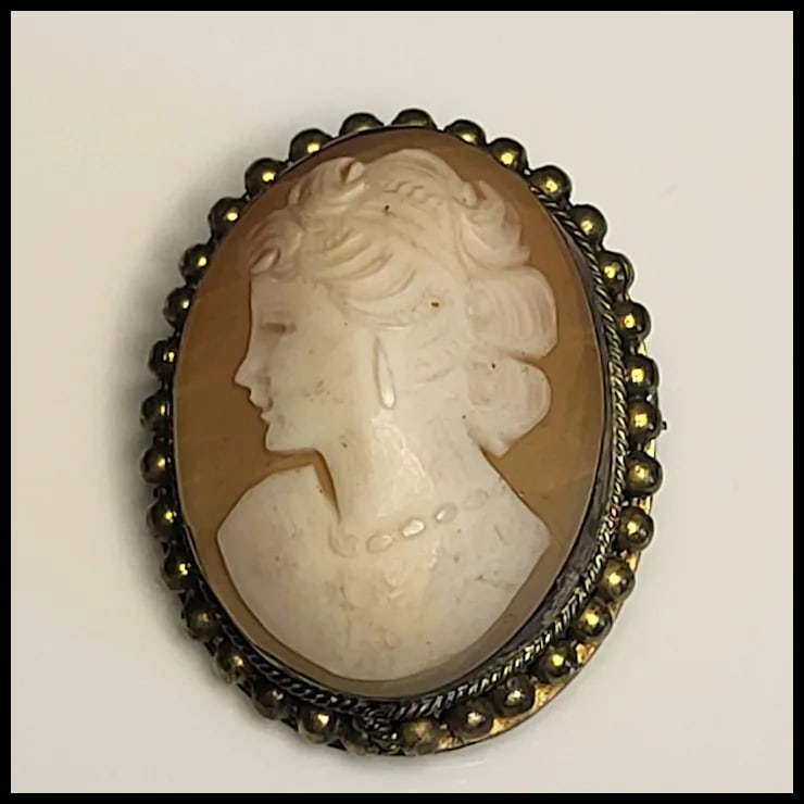 Vintage Cameo Pin/Brooch - 2