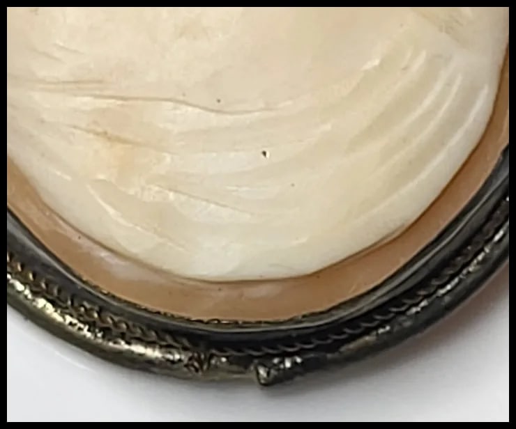 Vintage Hand-Carved Shell Cameo Pendant/Brooch - 4