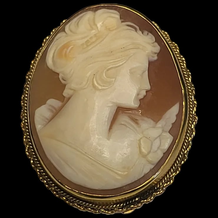Vintage Cameo Pin/Brooch (1 of 5)