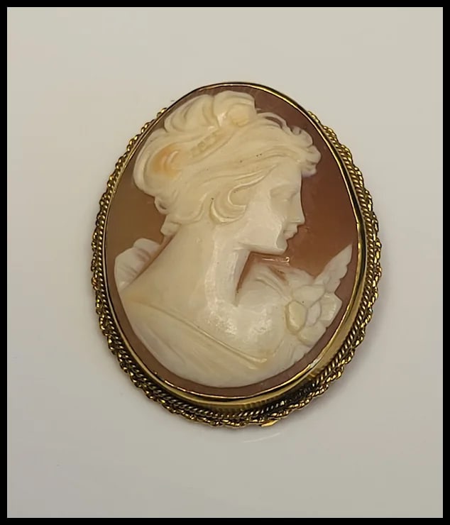 Vintage Cameo Pin/Brooch - 2