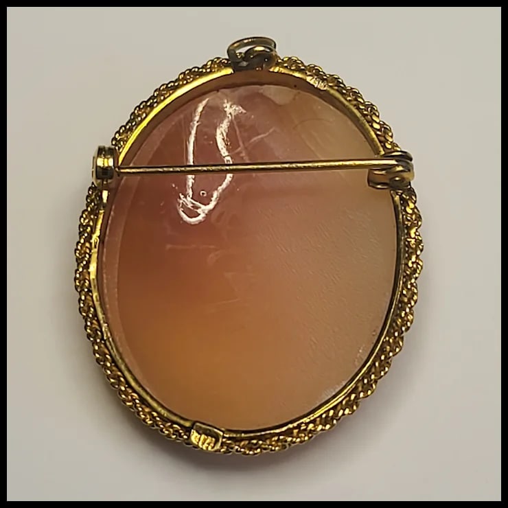 Vintage Cameo Pin/Brooch - 3