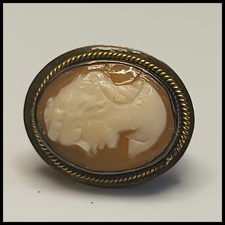 Vintage Shell Cameo Earrings - 5