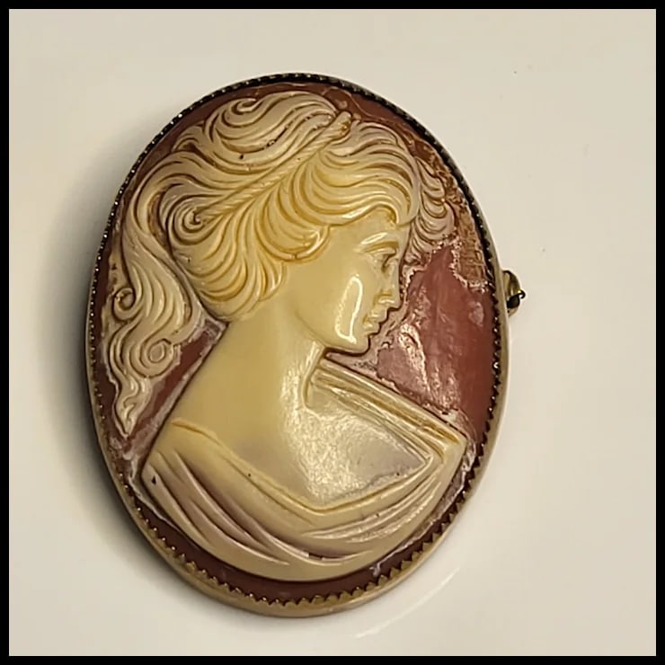 Large Vintage Cameo Pin/Brooch - 2