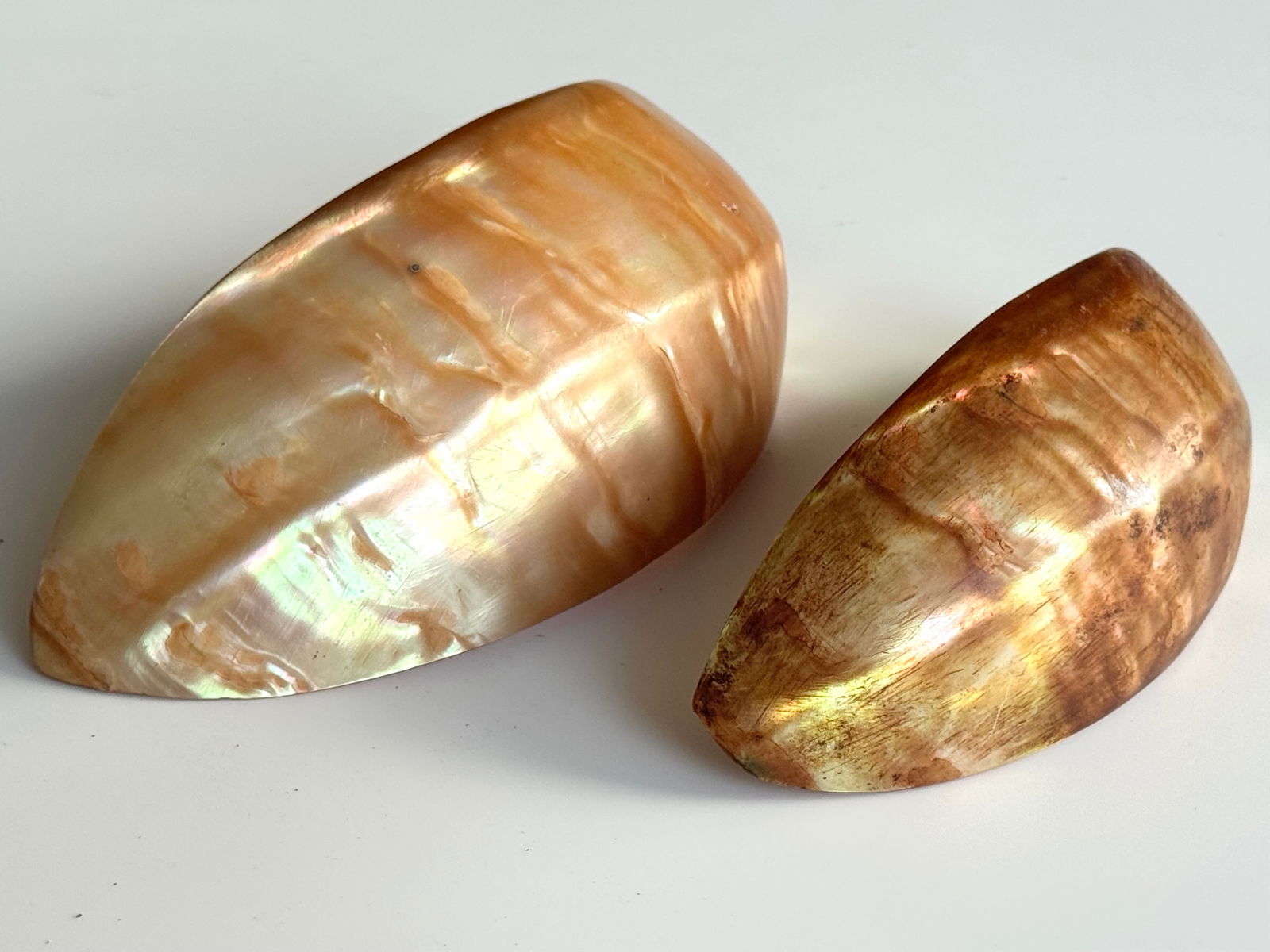 1950's field collected shell spoons Trobriand Islands - 6