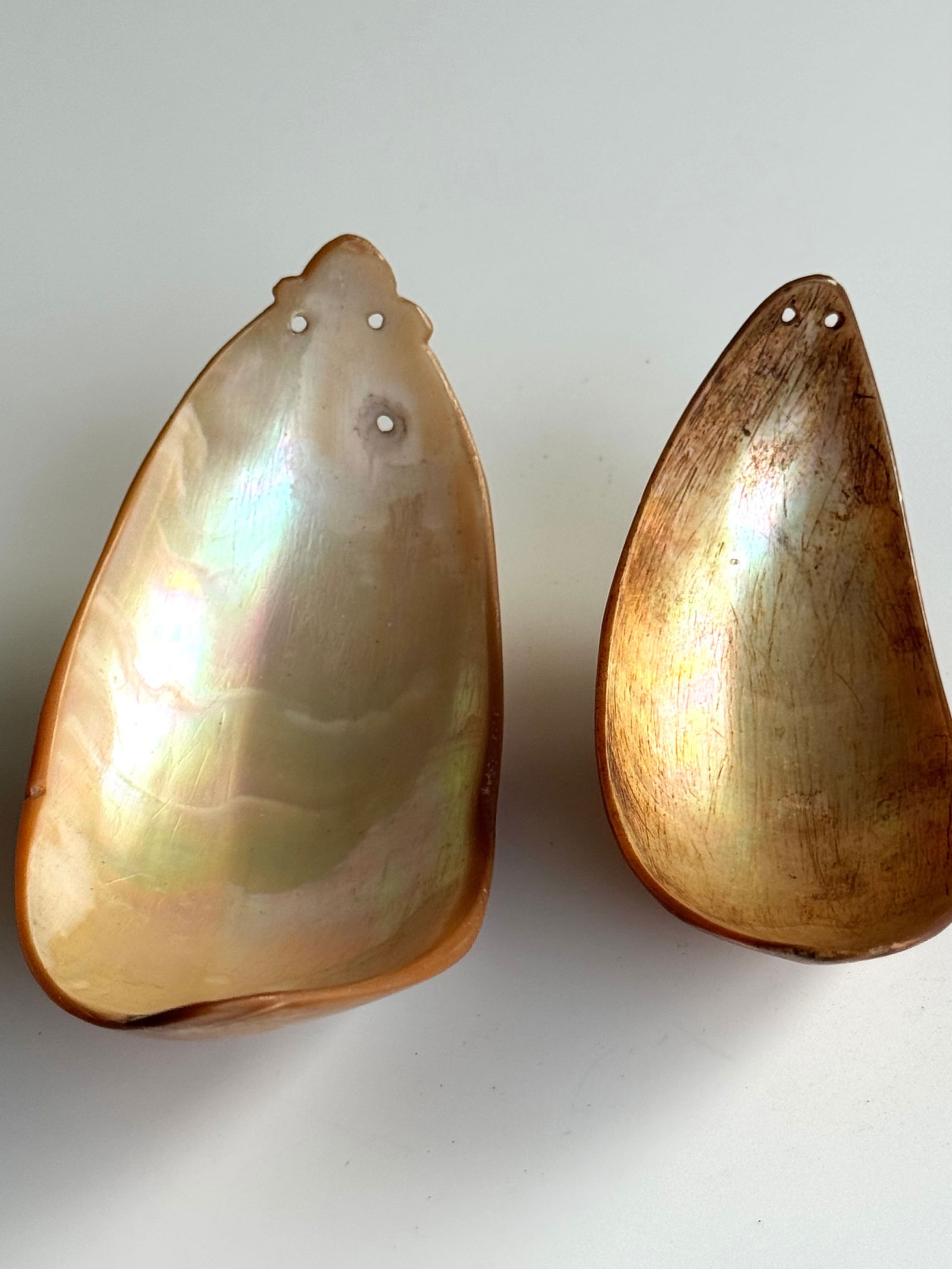 1950's field collected shell spoons Trobriand Islands - 8