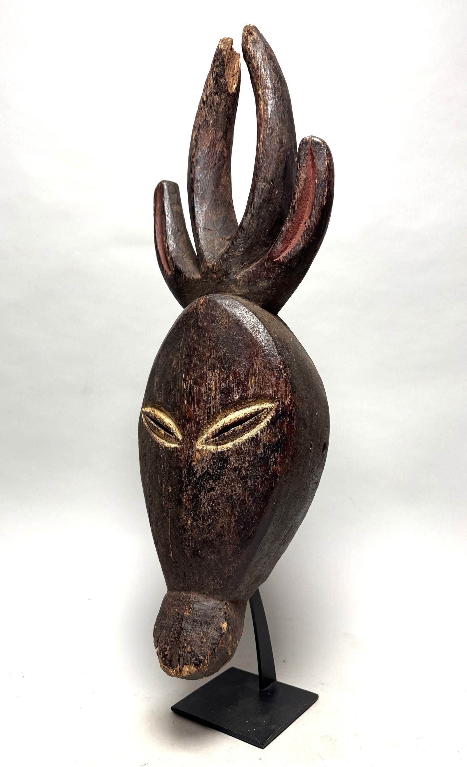 Antelope mask - Wood - Kwele - Gabon - 60 cm - 2