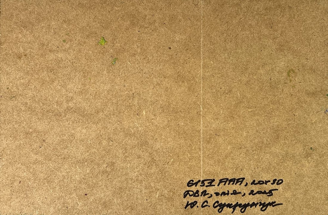 Oil painting Morning seashore Yuriy Suprunchuk - 11