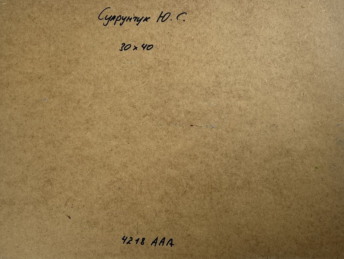 Oil painting Freedom over the sea Yuriy Suprunchuk - 10