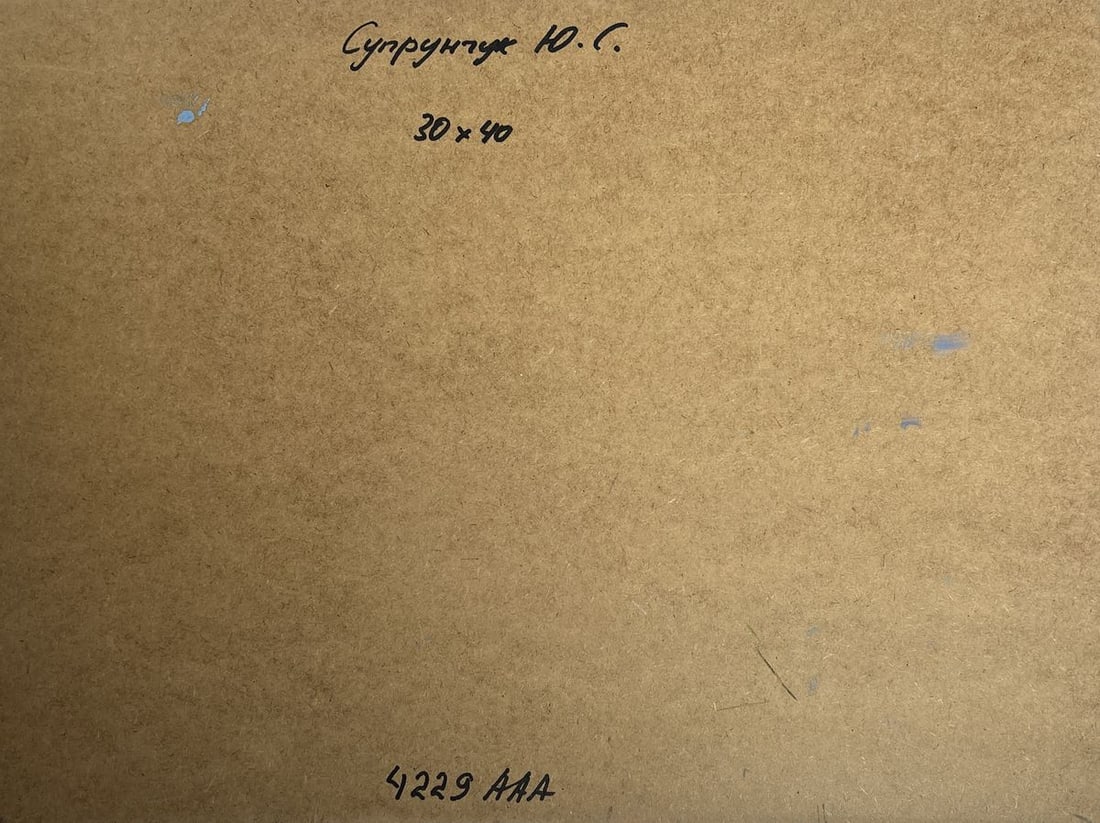 Oil painting Sea and village coziness Yuriy Suprunchuk - 10