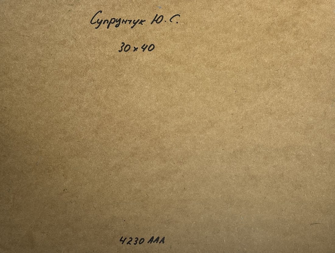 Oil painting Across the sea expanses Yuriy Suprunchuk - 10