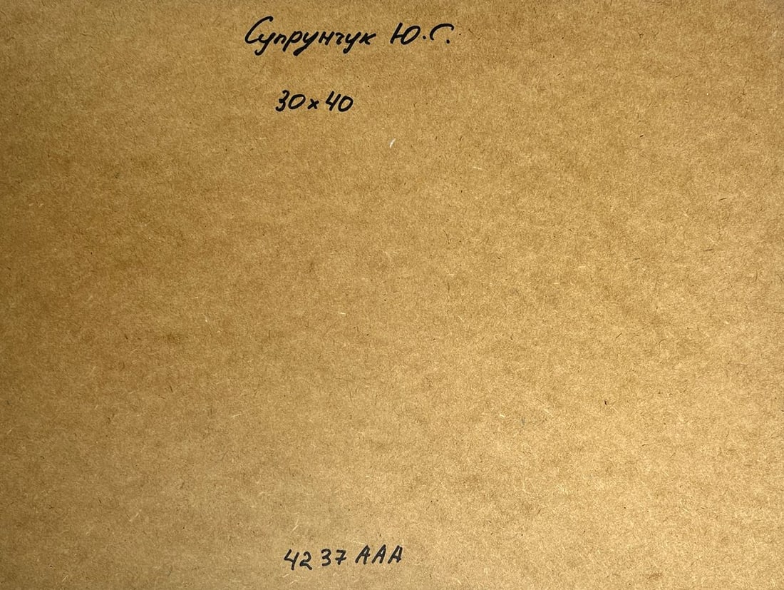 Oil painting Ships on the ferry Yuriy Suprunchuk - 10